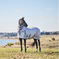 Comfitec Hexi Schild Fliegen Blatt Combo